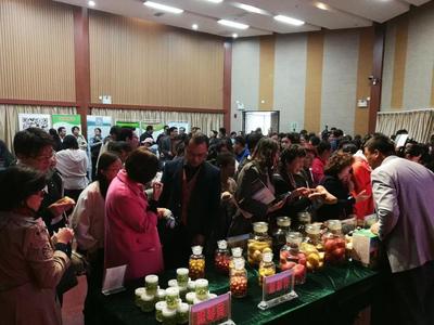西吉农副产品银川推介会圆满举行 助力区域特色产品销售