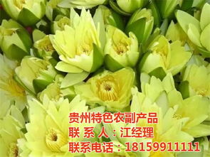贵州山水贵客 匠心打造绿色农副产品，助力乡村振兴新引擎