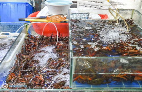 张家港农副产品迎降价潮 猪肉五连跌，农副市场迎来消费利好