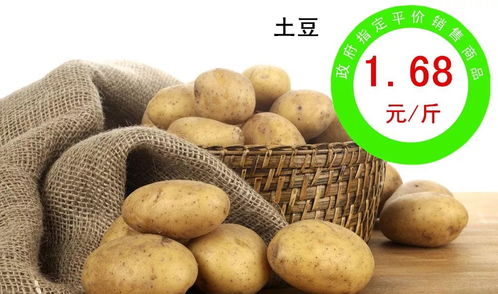 平价销售惠民生，农副产品热卖进行时——政府主导下的民生保障新举措