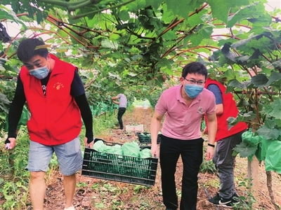 坚守疫情防控“最后一公里”，全力保障农副产品销售畅通